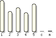 karyotype selector